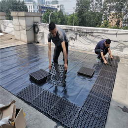 赣州楼顶花园滤水板品质好品种多_品牌滤水板