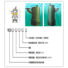 55KW厂家* 矿用排沙电泵 防爆潜水泵
