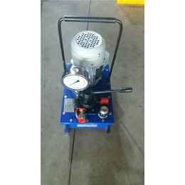 电动泵报价-驰晨液压(在线咨询)-铁岭电动泵