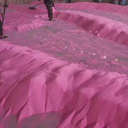 持括供应布景砂用粉色沙 沙池无尘沙滩砂 河北沙滩砂