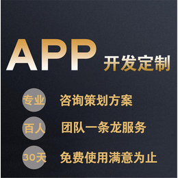 APP  小程序  开发定制  价格优惠合理