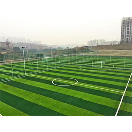 天津世纪宏达体育-人造草坪-北京人造草坪