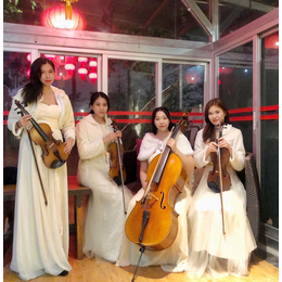 广州小提琴表演 小提琴演出团队 深圳小提琴演出 欢迎咨询