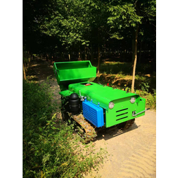 种植施肥履带管理机 多功能低矮田园管理机 宽度一米旋耕机