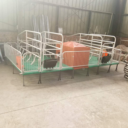 供应厂家双猪位母猪产床产保两用猪设备