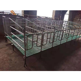 养猪设备母猪定位栏复合漏粪板猪用限位栏厂家供货块