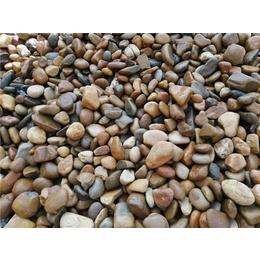 深圳宝安杂色鹅卵石出售 铺路杂色鹅卵石 园林绿化造景鹅卵石