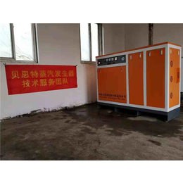 上海混凝土养护-湖北贝思特智能-混凝土养护蒸汽锅炉