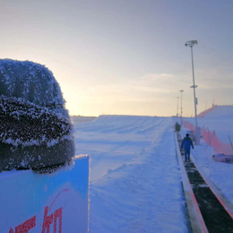 张家口初级雪道魔毯运行平稳快捷 替代步行的滑雪场魔毯