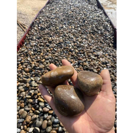 珠海多种规格杂色鹅卵石出售 厂家批发天然鹅卵石