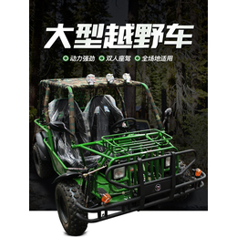 电动汽油可选择炫酷卡丁车 车式游乐设备设计规划售后服务卡丁车