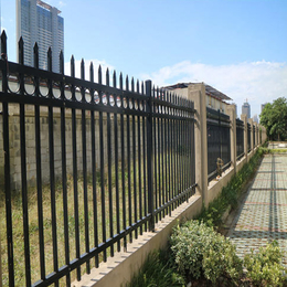 广州医院外墙铁围栏厂家 学校围墙防护栅栏 锌钢护栏缩略图