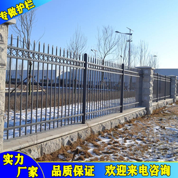 肇庆鼎湖校区围墙护栏 包工包料铁艺栏杆厂家 铝合金护栏