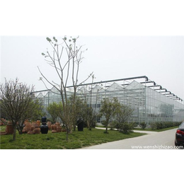 齐鑫温室玻璃大棚造价-生态餐厅方案设计-临朐生态餐厅方案