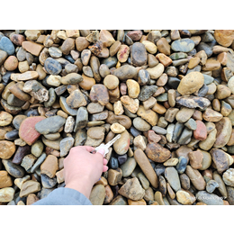 批发鹅卵石滤料河卵石可用于园林景观 水处理滤料