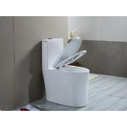 海珠安装更换马桶厕所报价-广州快速安装更换马桶厕所