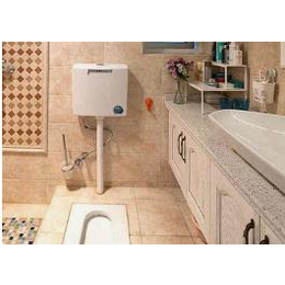 荔湾安装更换马桶厕所型号-广州小北安装厕所供货商