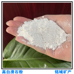 滑石粉的应用范围  塑料级滑石粉  陶瓷级滑石粉