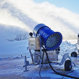 冰雪运动人工造雪机造雪设备 三项电源电机国产造雪机