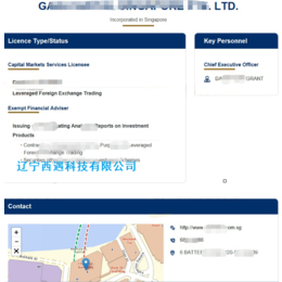 新加坡金荣歪会监管牌照MAS牌照简介缩略图