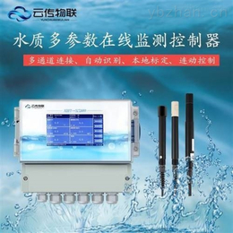 环境处理水质在线监测COD传感器 
