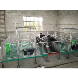 河北养猪设备连体母猪产床复合漏粪板加宽猪栏厂家定做缩略图