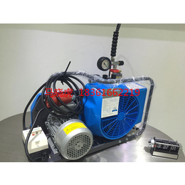 BAUER300-TE空气呼吸器充气泵