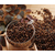 青岛进口咖啡豆的操作流程缩略图1