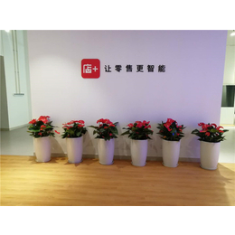 杭州常景园林景观-办公室植物出租价格-西湖区办公室植物出租