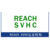 REACH 224项SVHC ISO17025缩略图1