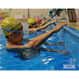 东城大脚鱼游泳俱乐部(图)-少儿游泳比赛-东城游泳比赛