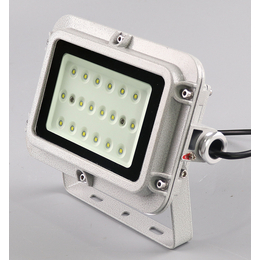LED免维护防爆灯30W-80W