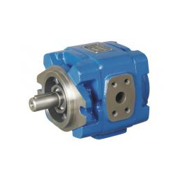 HG1-50-R-PT液压内啮合齿轮泵供应