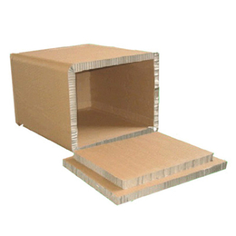 鸿锐包装公司-深圳蜂窝纸箱-电动车蜂窝纸箱