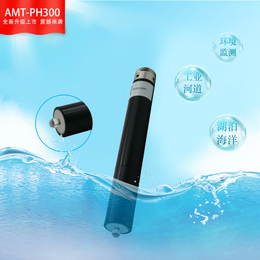  AMT-PH300-PH 玻璃电法检测传感器探头设备