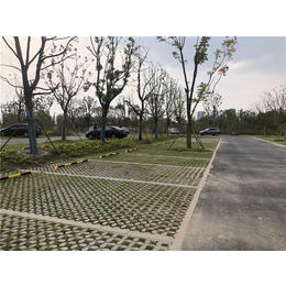 嘉兴植草地坪 嘉兴植草地坪模具 嘉兴植草地坪模具价格