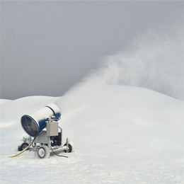 山东厂家生产大型造雪机 全自动造雪机定制直发