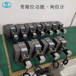 徐州海河 HZW 主令型闸位计 带限位闸门开度传感器