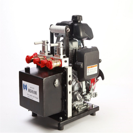 原装进口 KJI-LK2R型 双输出液压机动泵 批发零售