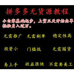 拼多多店群孵化川海网络电商基地运营技术指导店群软件招商