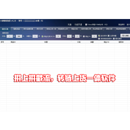 拼多多无货源小象店群软件工作室代理加盟返端口