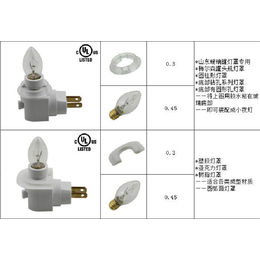 壁插式灯头-东莞传嘉实业-E29壁式灯头插