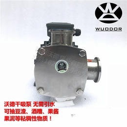 高温酒糟输送泵WD25-RXB 果酱 豆渣泵