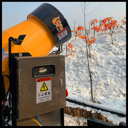 大型国产造雪机直发 国产造雪机哪里找 金耀造雪机