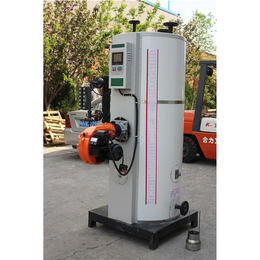 隆鑫热能设备(图)-小型燃气蒸汽发生器-燃气蒸汽发生器
