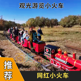 四川自贡景区定制电动观光小火车轨道小火车为游客带来欢笑