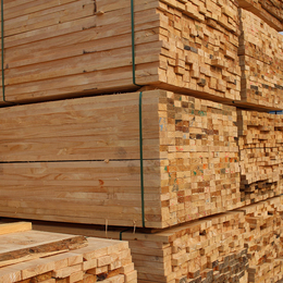 辐射松建筑木方-日照友联木材加工-辐射松建筑木方尺寸