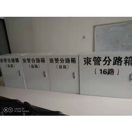 12路分路箱现货 哈尔滨束管分路箱