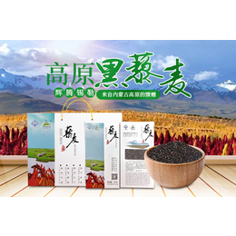 上海黑藜麦-黑藜麦厂商-锐康健康(推荐商家)