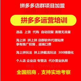 拼多多店群运营教学培训拼多多店群软件贴牌定制店群工作室加盟